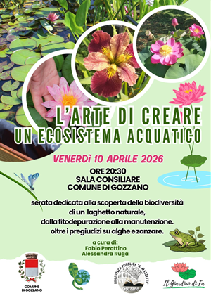 L'arte di creare un ecosistema acquatico